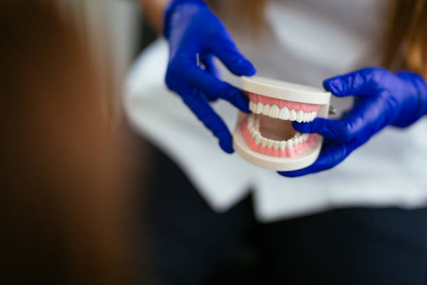 Reliable Lewisburg, TN  Holistic Dental Services Solutions